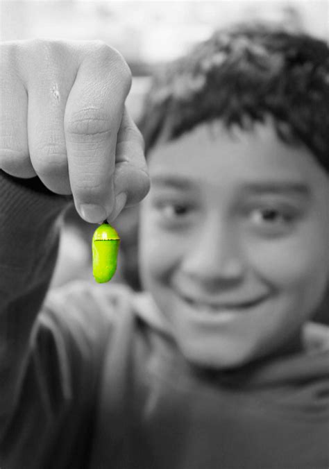 okra charity|Giving Back: Nonprofits Shifting Society to Racial and Social .